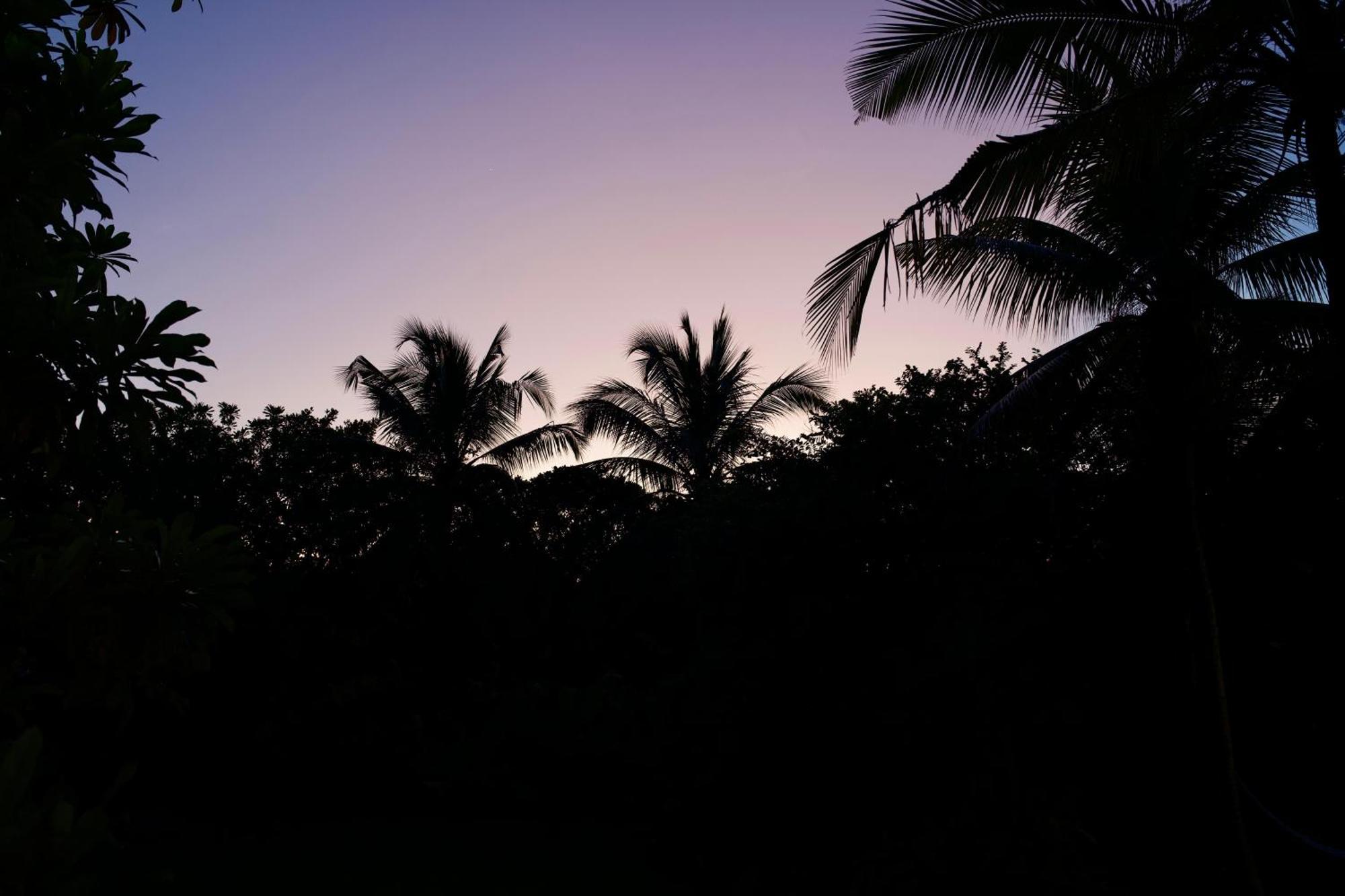 Ginganga Lodge Galle Exteriér fotografie