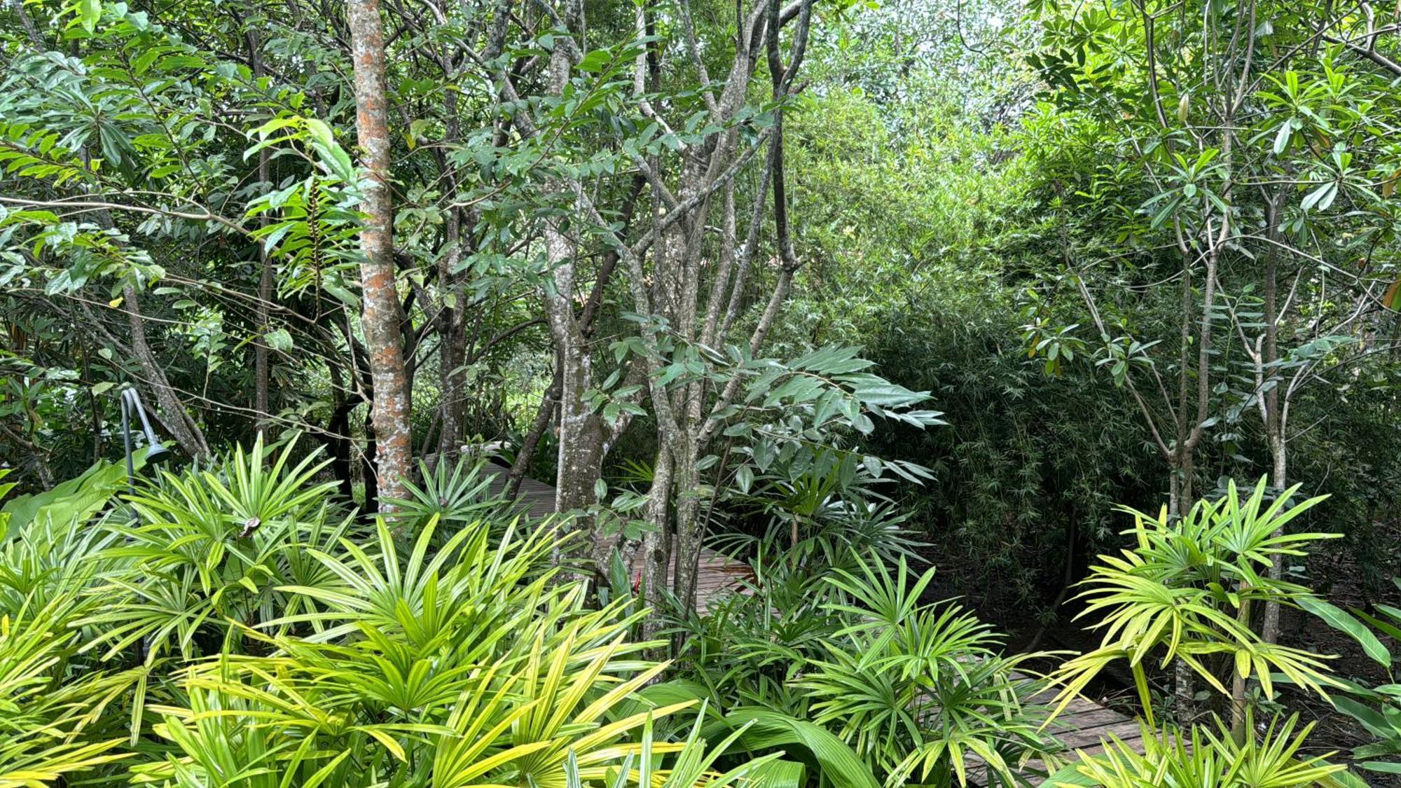 Ginganga Lodge Galle Exteriér fotografie