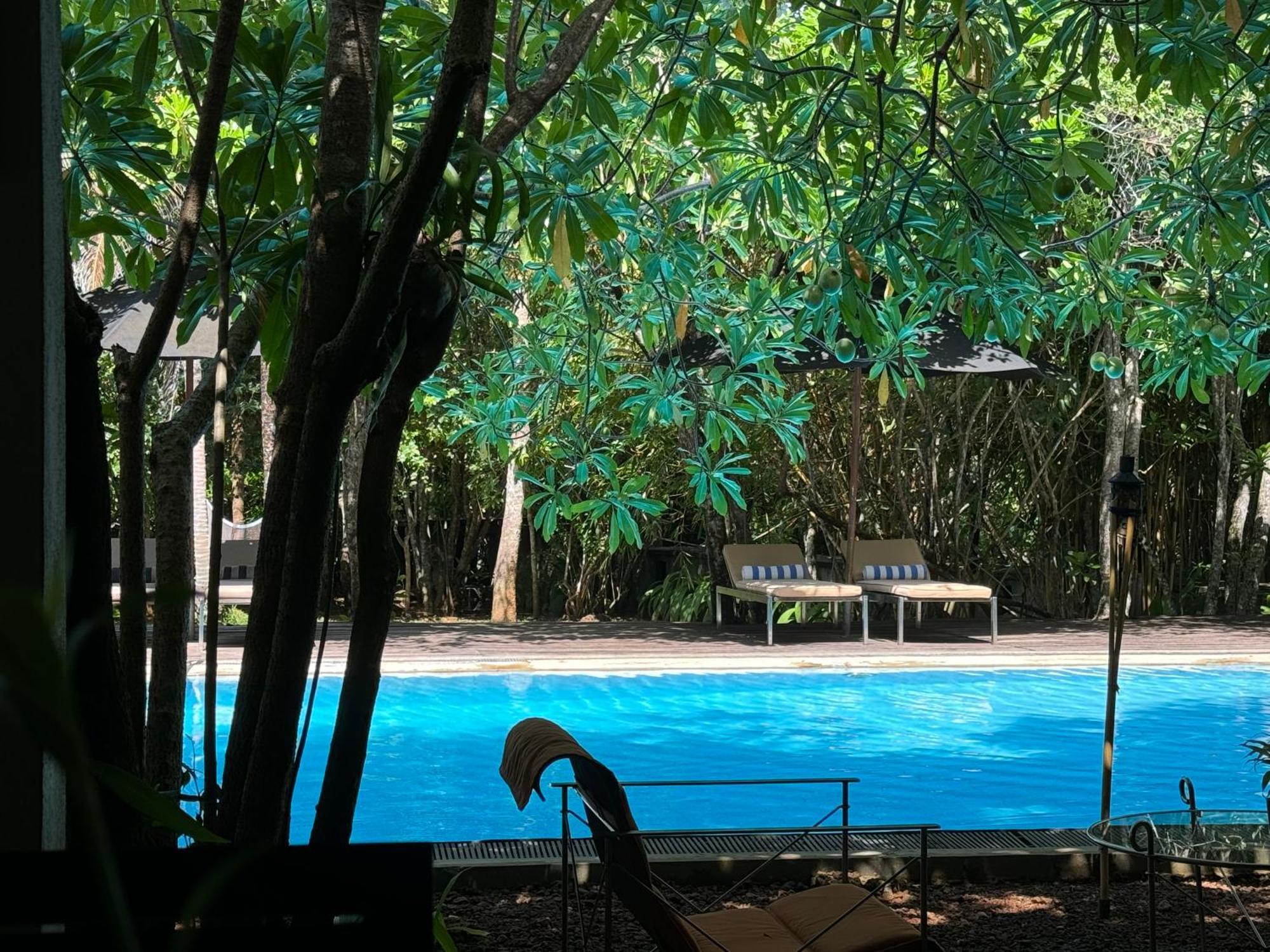 Ginganga Lodge Galle Exteriér fotografie