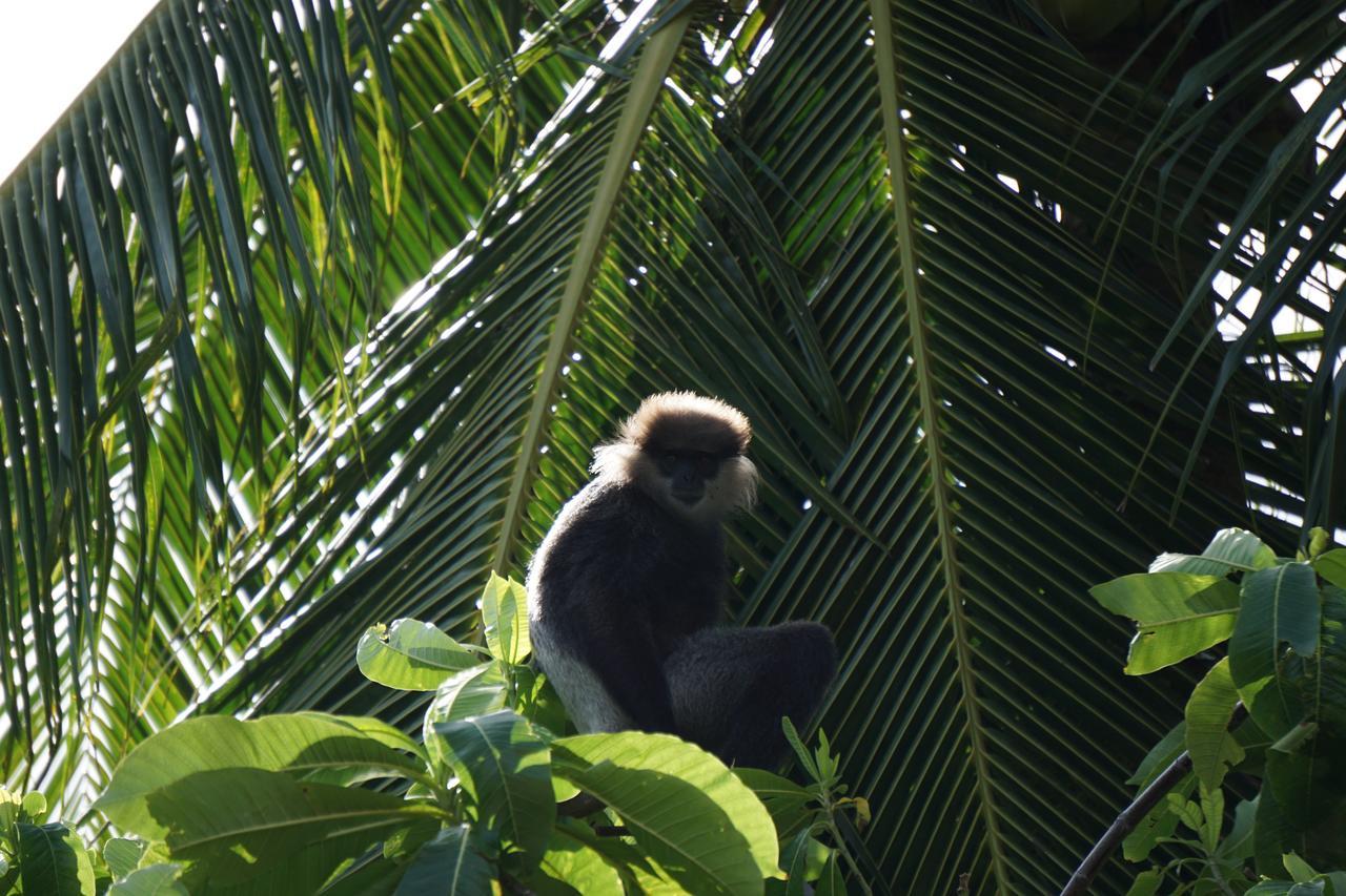 Ginganga Lodge Galle Exteriér fotografie